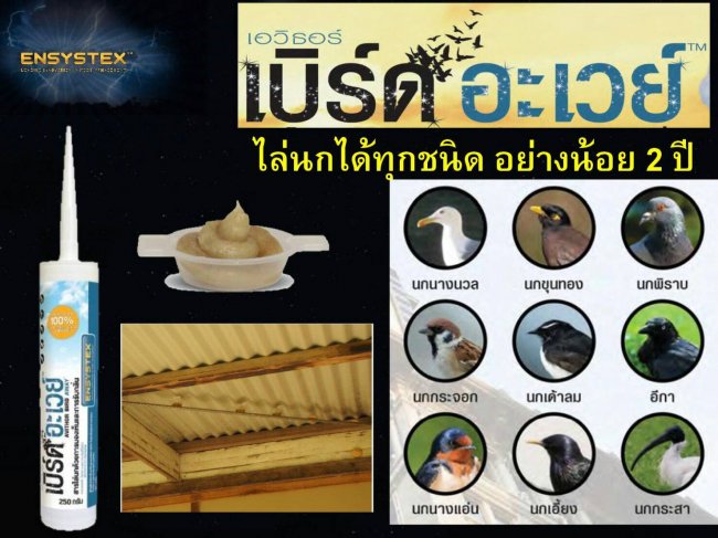 บริษัทไล่นกพิราบ กรุงเทพ ด้วยเจลไล่นกคุณภาพสูง ได้ผลนาน 2 ปี ได้ผลดี 100%